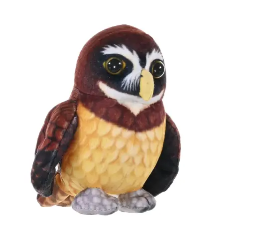 [53322] Rainforest spectacled Owl