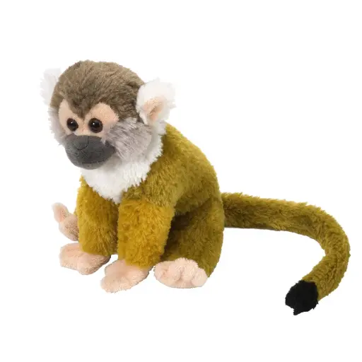 [53323] CK-Mini Squirrel Monkey