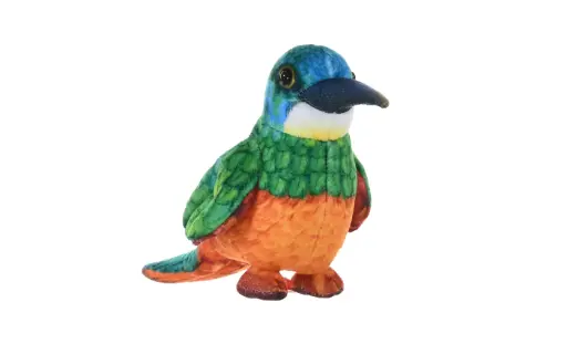 [53333] Rainforest Jacamar