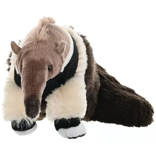 [53340] CK Anteater